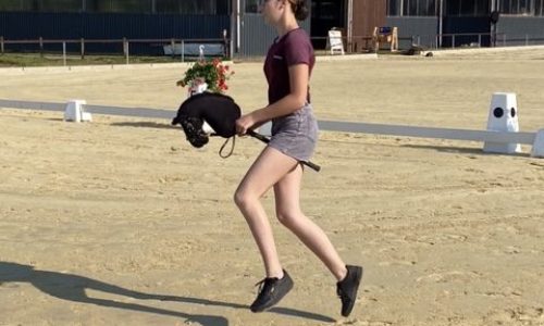 Aufgeregte Reiterinnen, ruhige Pferde – Reitturnier mit den Hobby Horses